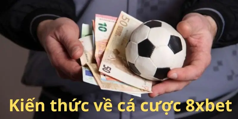Chia Sẻ Bí Quyết Thắng Lớn Khi Cá Cược 8xbet Mỗi Ngày 2 Kiến thức về thị trường cá cược 8xbet mỗi ngày