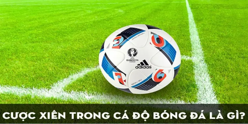 Tìm Hiểu Cách Đặt Kèo Cược Xiên Bóng Đá 8xbet Hiệu Quả 2 Khái niệm về kèo cược xiên bóng đá 8xbet
