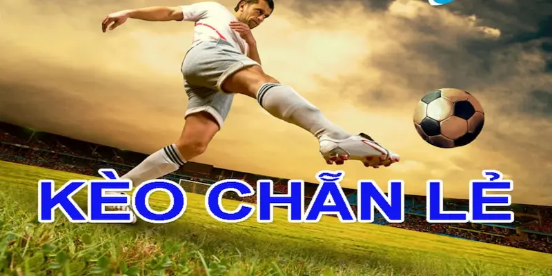 Những Mẹo Thắng Khi Chơi Kèo Chẵn Lẻ Bóng Đá 8xbet 3 Phân tích phong độ đội bóng ở kèo chẵn lẻ bóng đá 8xbet