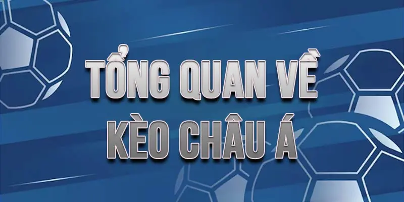Chơi Kèo Châu Á 8xbet Và Những Điều Cần Biết 9 Chơi Kèo Châu Á 8xbet Và Những Điều Cần Biết