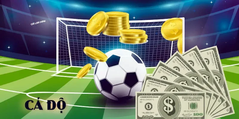 Giới thiệu 8xbet chi tiết dễ hiểu cho người mới chơi 2 Các loại hình cá cược được giới thiệu 8xbet đề xuất