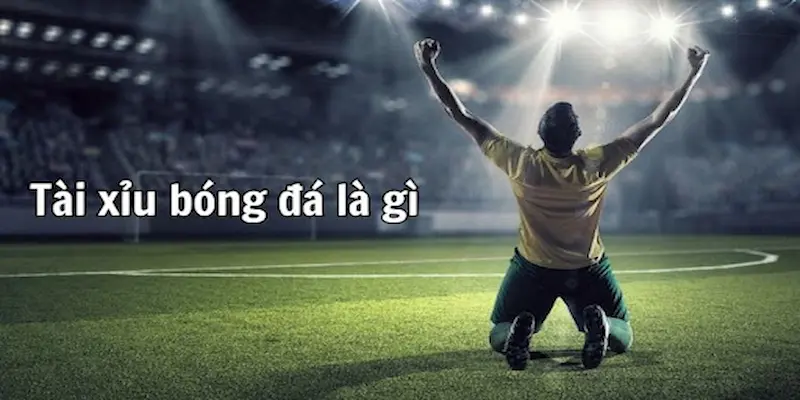 Chia Sẻ Mẹo Chơi Kèo Tài Xỉu Bóng Đá 8xbet Dễ Thắng 2 Hiểu biết cơ bản về kèo tài xỉu bóng đá 8xbet