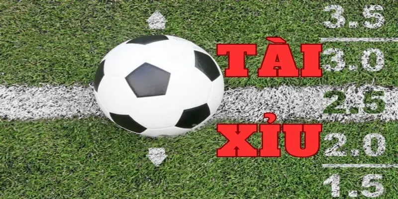Chia Sẻ Mẹo Chơi Kèo Tài Xỉu Bóng Đá 8xbet Dễ Thắng 3 Những yếu tố ảnh hưởng đến kèo tài xỉu bóng đá 8xbet