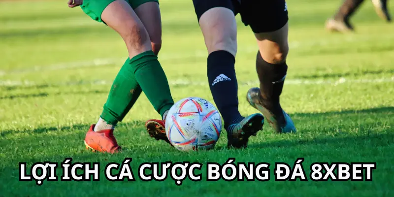 Khám Phá Lý Do Chọn Cá Cược Bóng Đá 8xbet Ngay Hôm Nay 3 Lợi ích khi tham gia cá cược bóng đá tại 8xbet