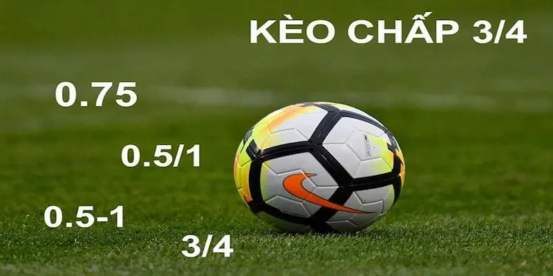 Phân Tích Cược Chấp 8xbet Chuyên Sâu Về Chiến Lược Chơi 2 Các loại cược chấp 8xbet phổ biến