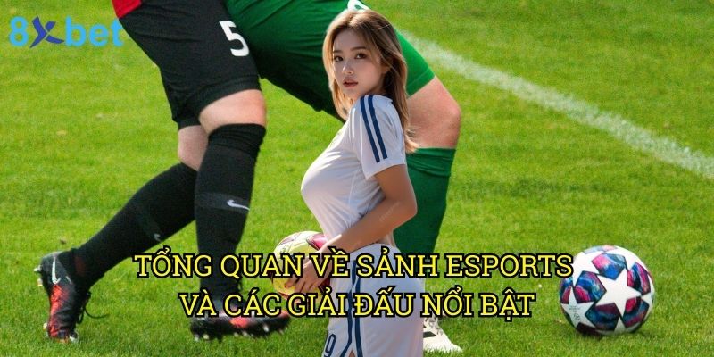Sảnh esports 8xbet: Khám phá thiên đường cá cược thể thao điện tử hàng đầu 2 Tổng quan về sảnh esports và các giải đấu nổi bật
